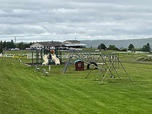 img-31